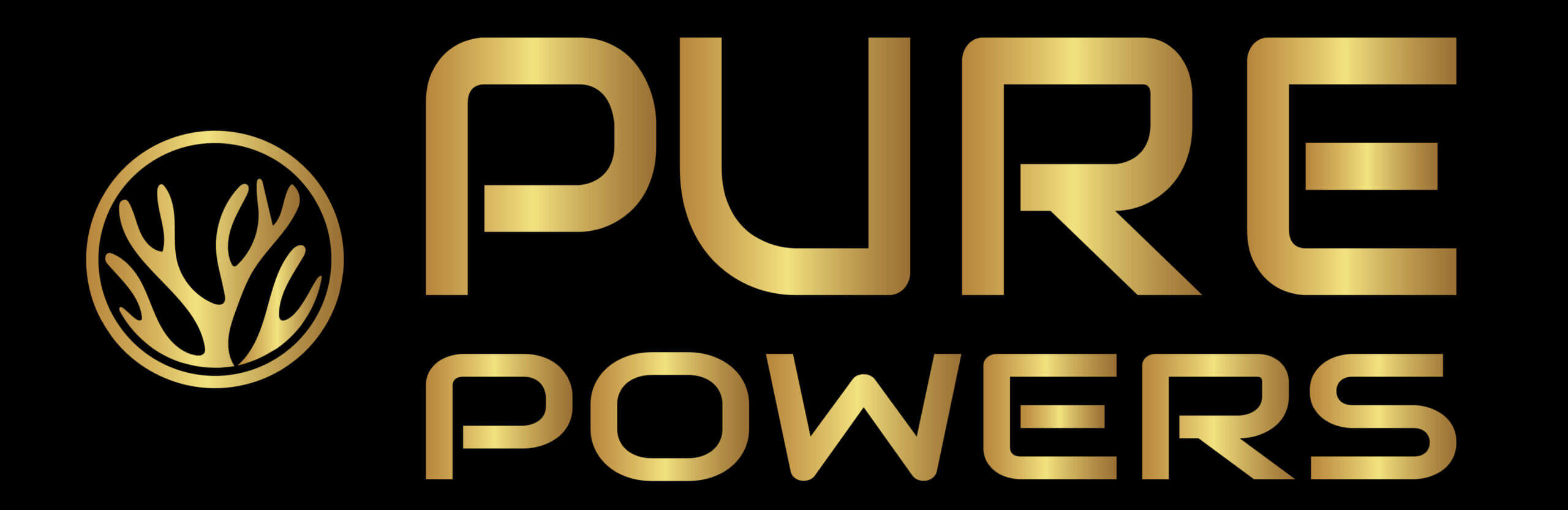 PURE POWERS
